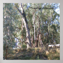 DSCF1020, "Country Riverside" Posters