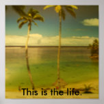 DSCF1154, This is the life. Posters