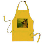 DSCF2248 APRONS