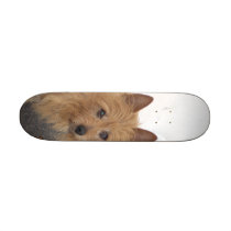 DSCN0567 SKATE BOARDS