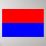 Dsp, Colombia flag Poster