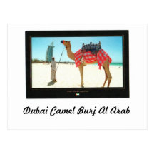 Dubai Camel Burj Al Arab Postcard