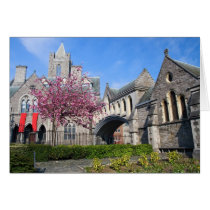 Dublin Cathedral