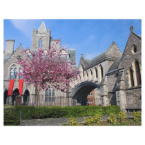 Dublin Cathedral