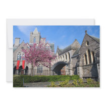 Dublin Cathedral