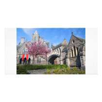 Dublin Cathedral