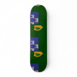 Dublin, Ireland skateboards