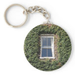Dublin Town House Windows Climbing Ivy Key Ring Keychain