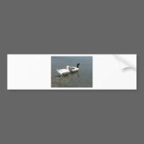 Duck and goose bumper stickers