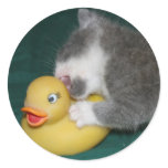Duck attack stickers