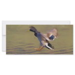 Duck BookMark rack cards