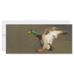 Duck BookMark rack cards