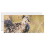 Duck BookMark rack cards