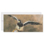 Duck BookMark rack cards