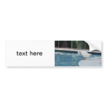 Duck Bumper Stickers