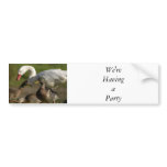 Duck Convention bumper stickers