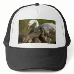 Duck Convention Mesh Hat