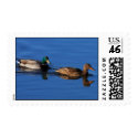 Duck Couple Postage postage