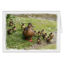 Duck Family Card