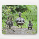 Duck Family mousepads