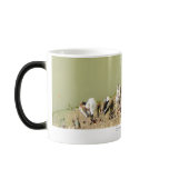 Duck Family mugs