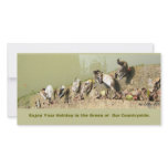 Duck Family photo cards