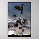 Duck Family posters