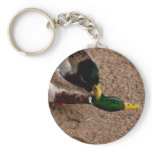 Duck fight key chain keychains