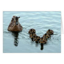 Duck Formation Greeting Card