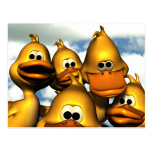 Duck Gathering Postcard