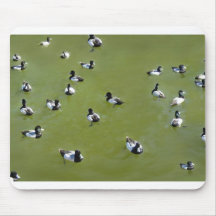 Duck get together mousepad