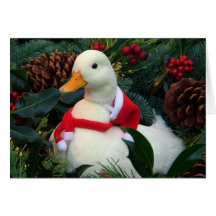 Duck Holiday Card