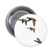 Duck Hunting Mallards in Flight Pinback Buttons