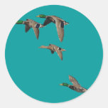 Duck Hunting Mallards in Flight Stickers