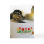 Duck in a Teacup Greeting Card