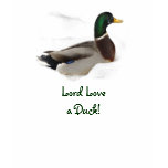 Duck in Snow t-shirts