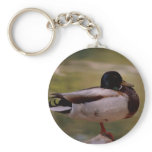 Duck Keychain