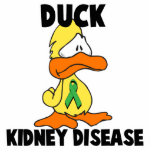Duck Kidney Disease photo sculptures