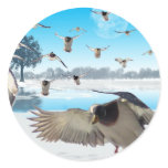 Duck Lake stickers