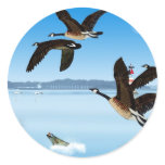 Duck Lake stickers