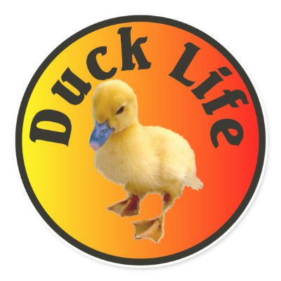 Duck Life Sticker by burntright