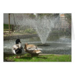 Duck love cards