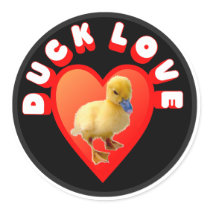 Duck Love Sticker