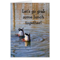Duck Lunch Greeting Cards