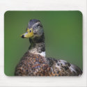 Duck mousepads