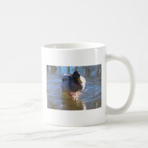 Duck on Thin Ice Coffee Mugs