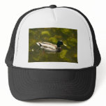Duck on water mesh hats
