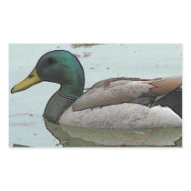 Duck Paddling Art Rectangle Sticker