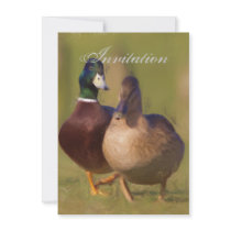 Duck Party Announcement Invitation