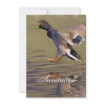 duck Party Announcement Invitation